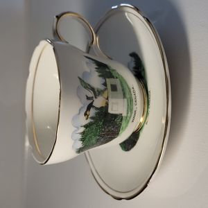 Gladstone  tea cup and saucer made in England bone China